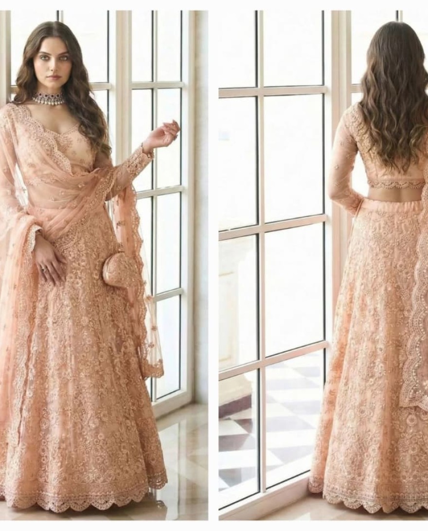 PEACH - Peach Net Embroidered Work Lehenga Choli