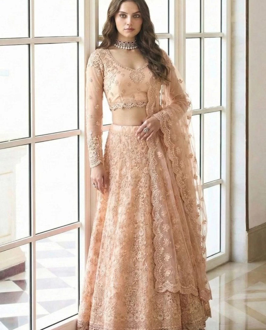 PEACH - Peach Net Embroidered Work Lehenga Choli