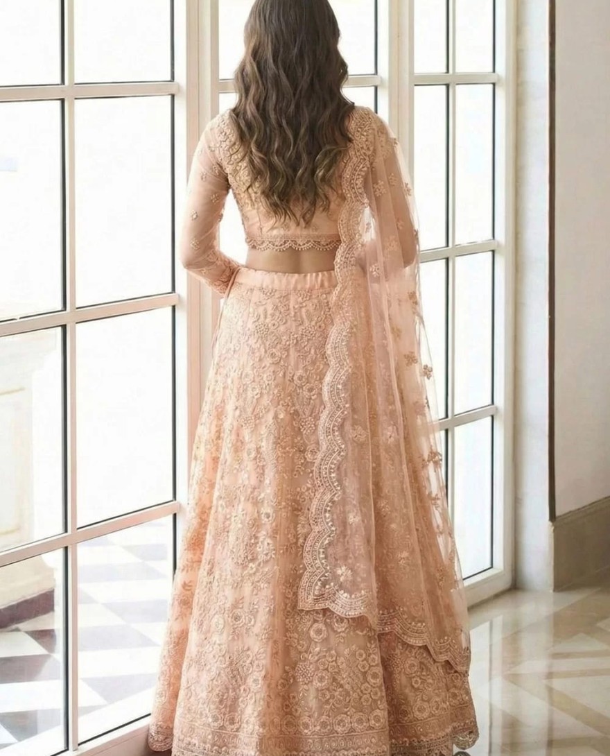 PEACH - Peach Net Embroidered Work Lehenga Choli