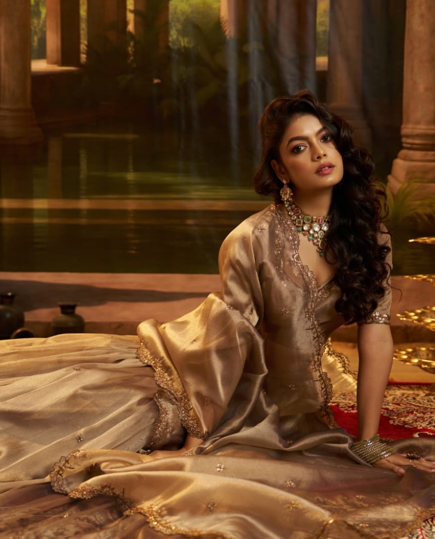 BROWN - Charming Brown Sequins Organza Wedding Wear Lehenga Choli