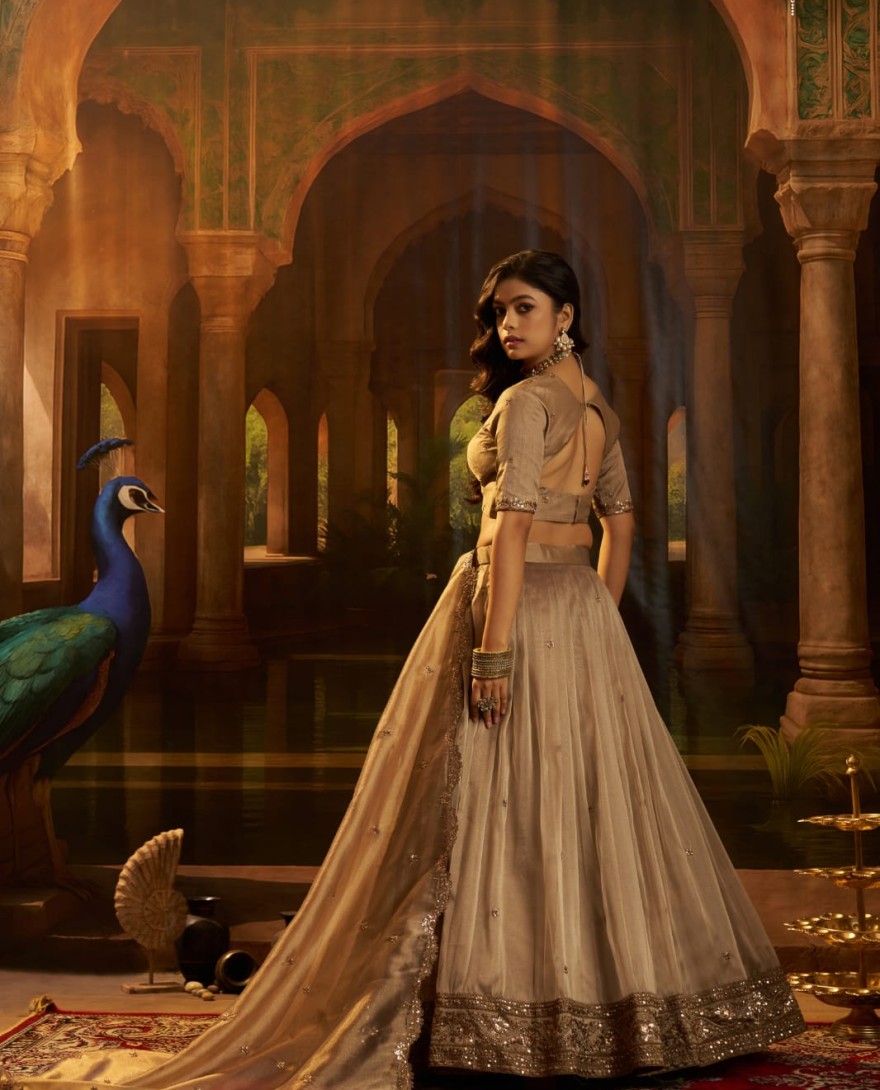 BROWN - Charming Brown Sequins Organza Wedding Wear Lehenga Choli