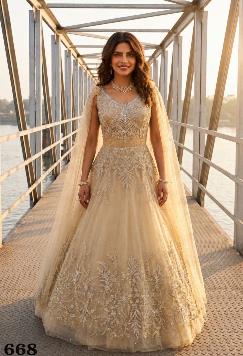 Priyanka Chopra Net Designer Gown with Embroidered and Hand Work
