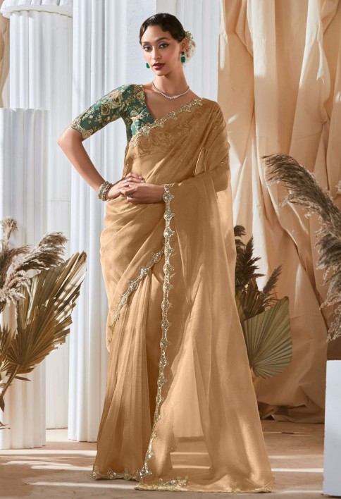 Astonishing Beige Border Work Organza Designer Saree With Blouse