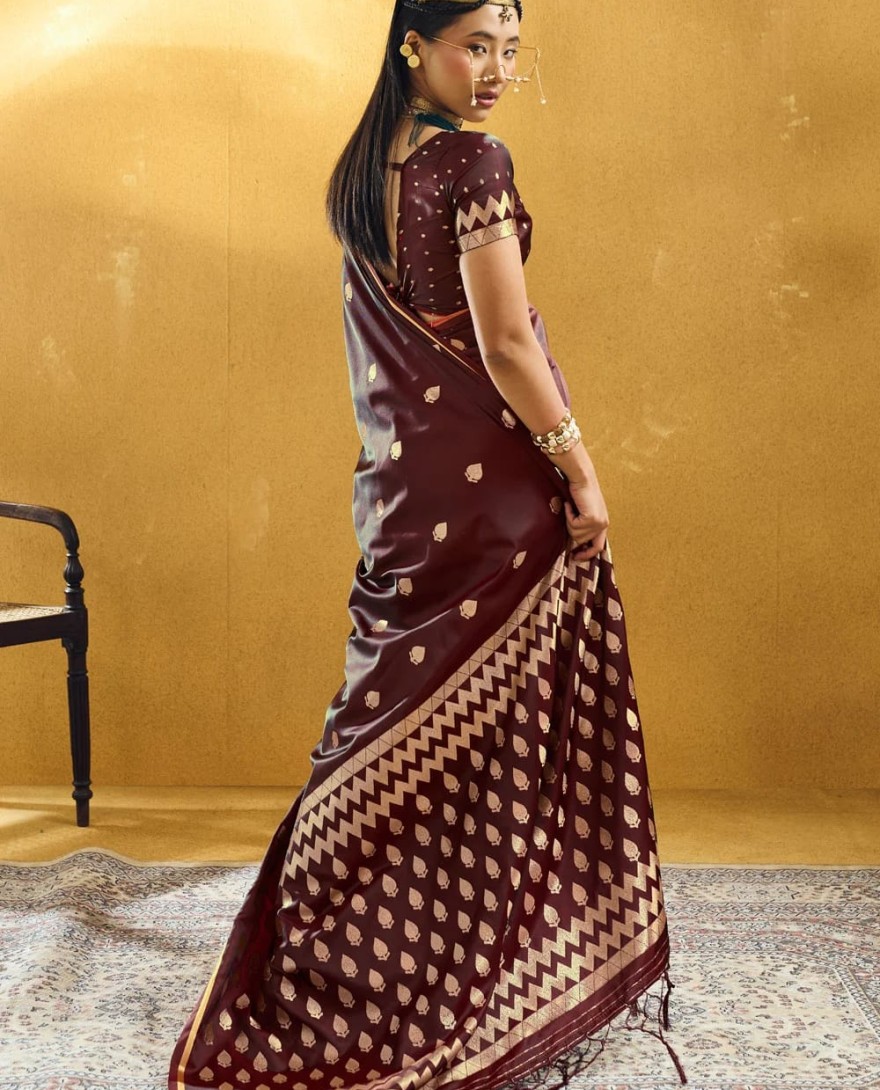 MAROON - Maroon Handloom Silk Classic Sari